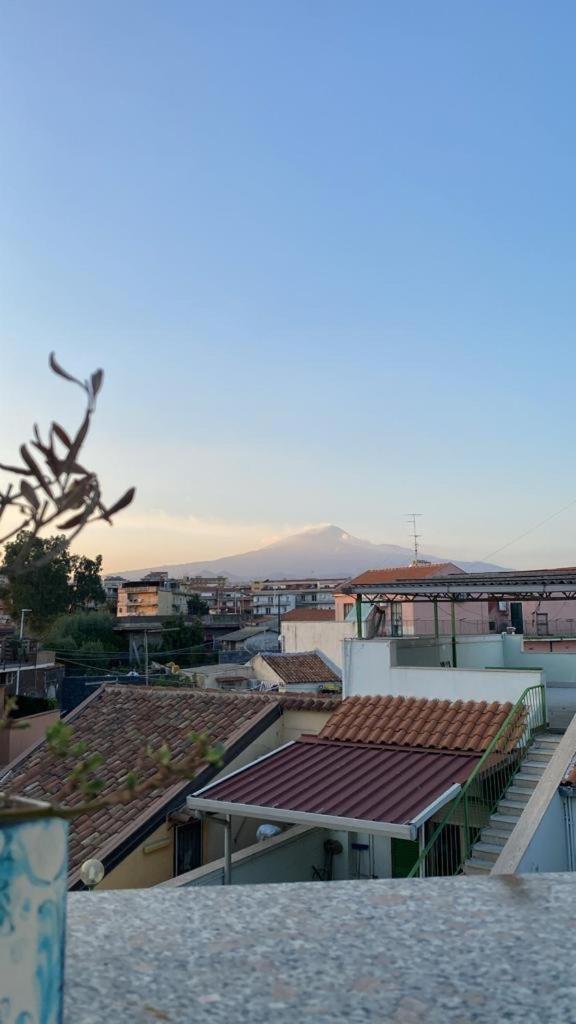 Curia Catania
